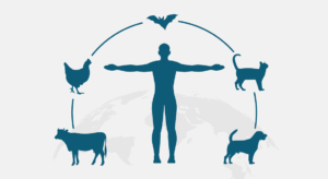 NASCHOLING ZOÖNOSEN EN HUN IMPACT OP PLAAGDIERBEHEERSING (Nieuw in 2026)